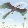 archaeopteryx's Avatar